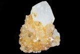 Sunshine Cactus Quartz Crystal Cluster - South Africa #80196-1
